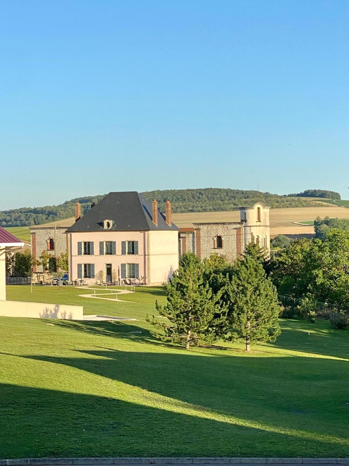 Villa Eulalie - Champagne Edouard Duval B&B Guest House Nestled In The Champagne Area Bligny ภายนอก รูปภาพ